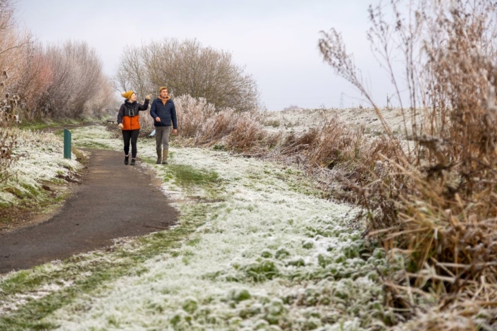 Visitors walking.jpg